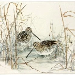 Gien Sologne Platte Rechteckig 19,3x10cm